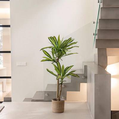 Artificial Dracaena Plant Tropical Palm Tree