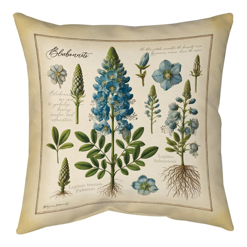 Coussin Bluebonnets 2 18 po x 18 po