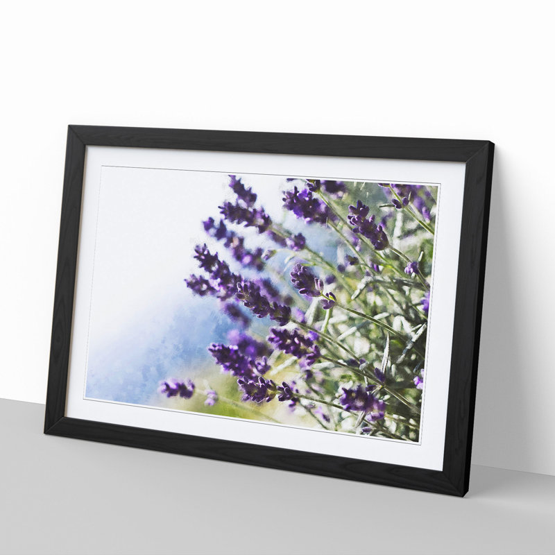 Lavender Vol.2 - Framed Print, Black Framed, 36cm H x 48cm W x 2cm D