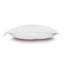 Gianna Cotton Pillow Sham-40207090-40207088