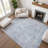 Premium Machine Washable Verlin AMF1769 Border Rug-1453408188