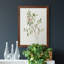 Toile encadrée simple Sprig IV de qualité supérieure - prête à être accrochée-1649907280-1649907283