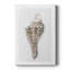 Sea Front Shell I - impression sur toile tendue-886172607