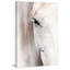 Horse Eye - Print on Canvas-1660827237