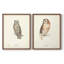 Scops Eared Owl - reproduction encadrée de qualité supérieure - prête à être accrochée - aucun clou requis - aucun clou requis-191032652-191032653