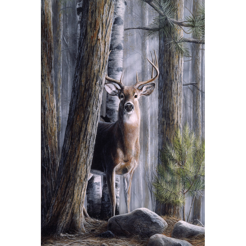 Simply Curious II by Kevin Daniel - Wrapped Canvas Painting, 46cm H x 30cm W x 3.8cm D