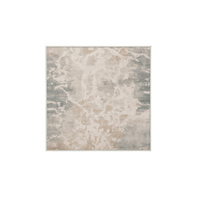 Silky Soft Plush Beige Area Rug