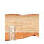 Solid Cosner Rug-1610252702