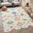 Machine Washable Indoor/Outdoor Chantille ACN2532 Traditional Rug-1229379370-1229379375
