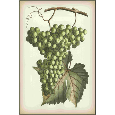 Raisins verts II