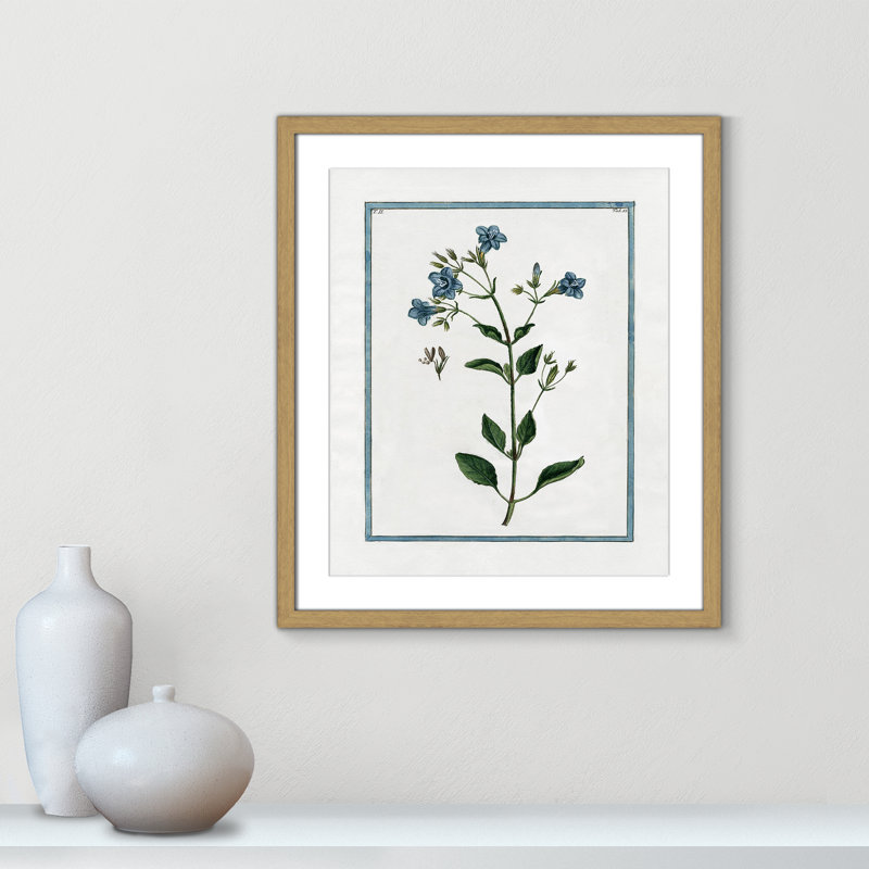 Colombe Shabby Elegance Botanical II - Framed Art, 16" W x 19" H, Natural Framed