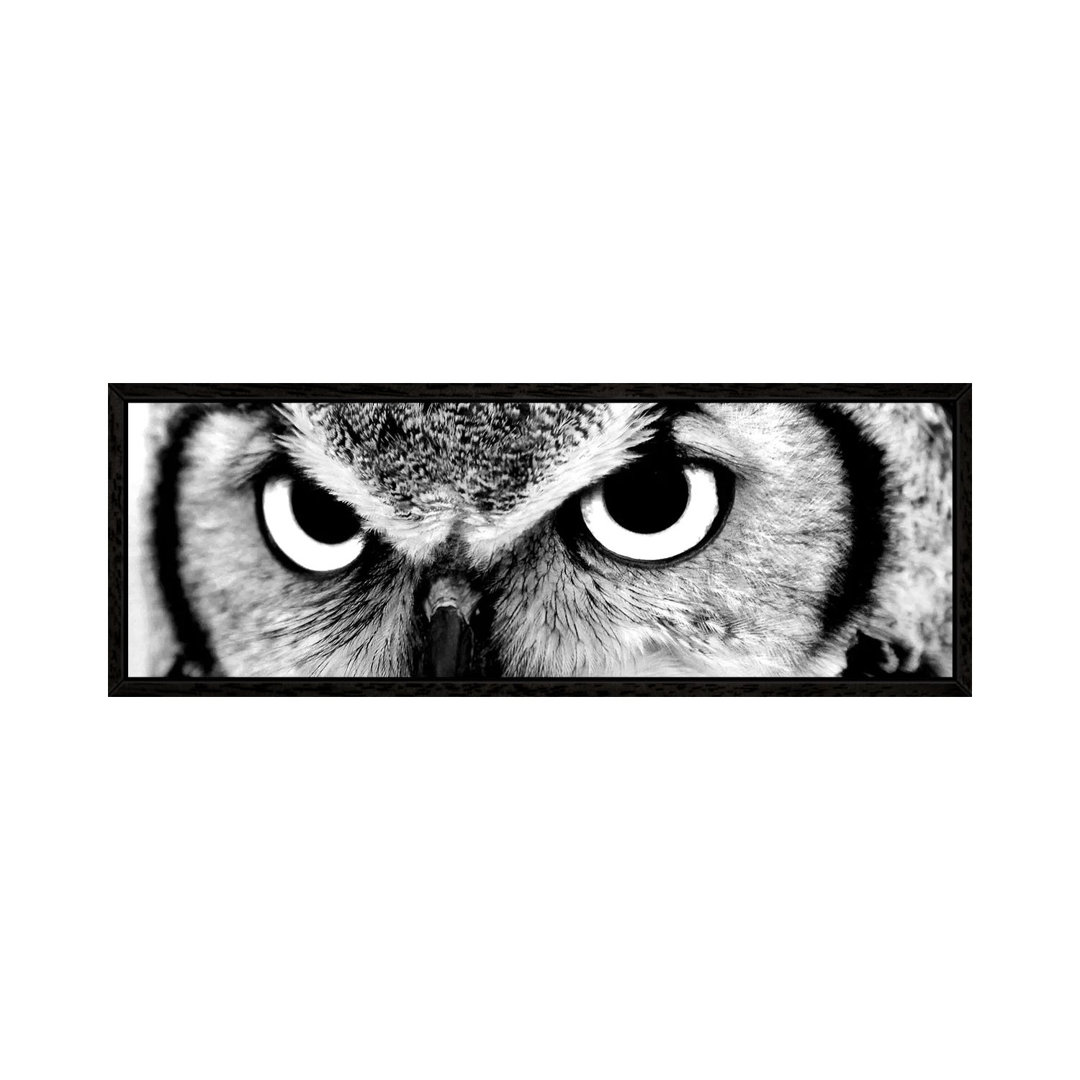 Owl Eyes von PhotoINC Studio - Floater Frame Panoramic Gallery-Wrapped Canvas Giclée on Canvas