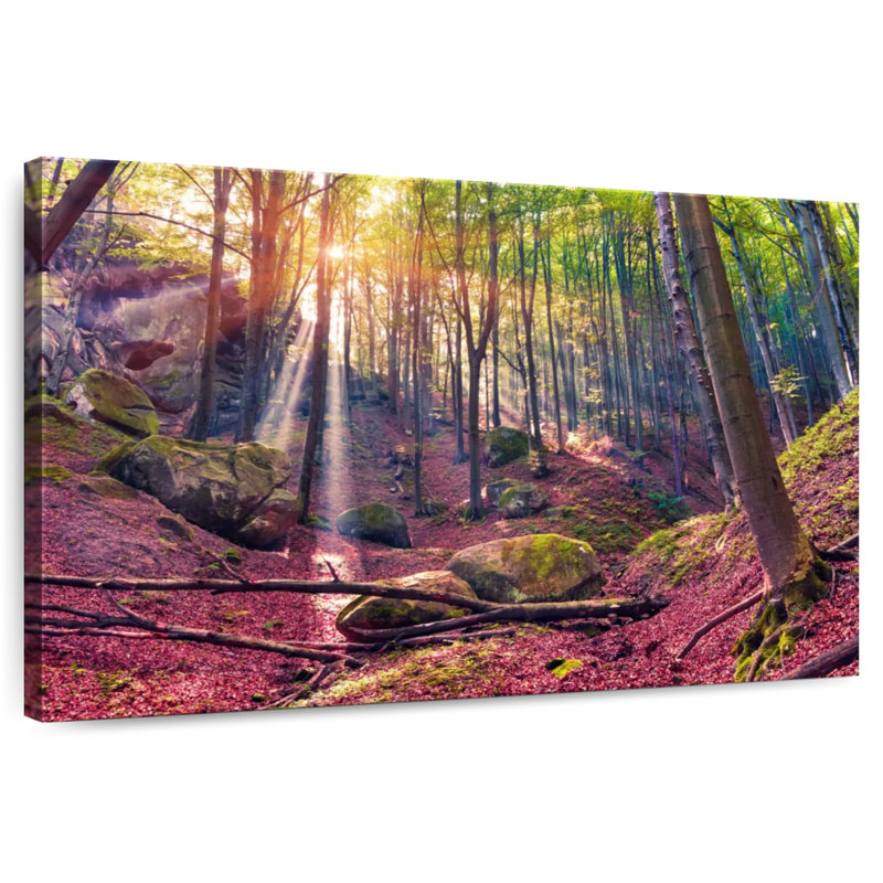 Alvord Mystical Woods, H 30 po x l 45 po