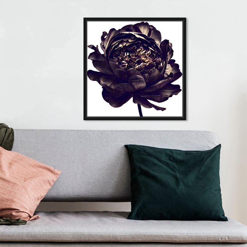 Pivoine noire - Impression sur toile, Cadre noir, H 13 po x l 13 po