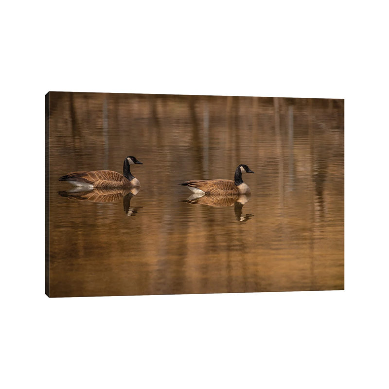 Mirror Image by Louis Ruth - Wrapped Canvas Print, 20.32 cm H x 30.48 cm W