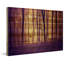 « crimson forest » par parvez taj,, reproduction d’art sur bois de pin naturel-19740394