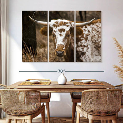Longhorn Bull
