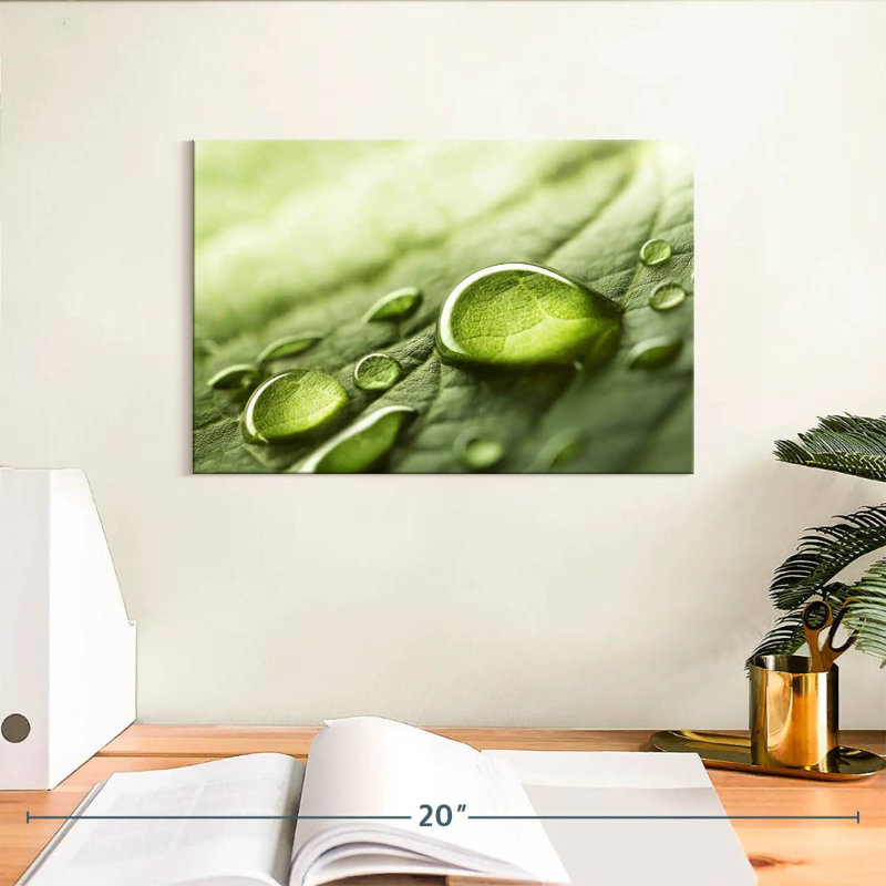 Harnek Dewdrops sur feuille verte, H 8 po x l 12 po