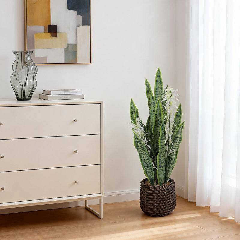 20.2cm Plant, 25.2cm H x 25cm W x 74cm D