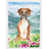 Boxer (brun/vert)