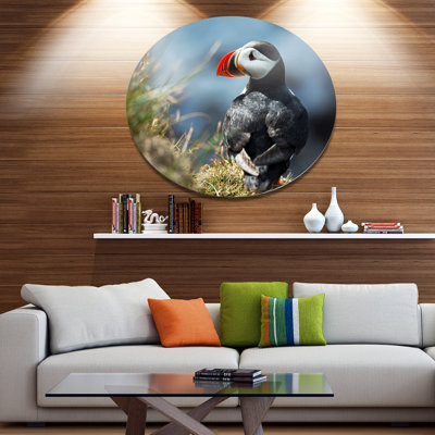 " Cute Puffin Relaxing "
