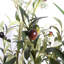 Olive artificielle avec pot-1267324233