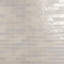 Montauk 2x8 Mixed Finish Ceramic Tile-872744540