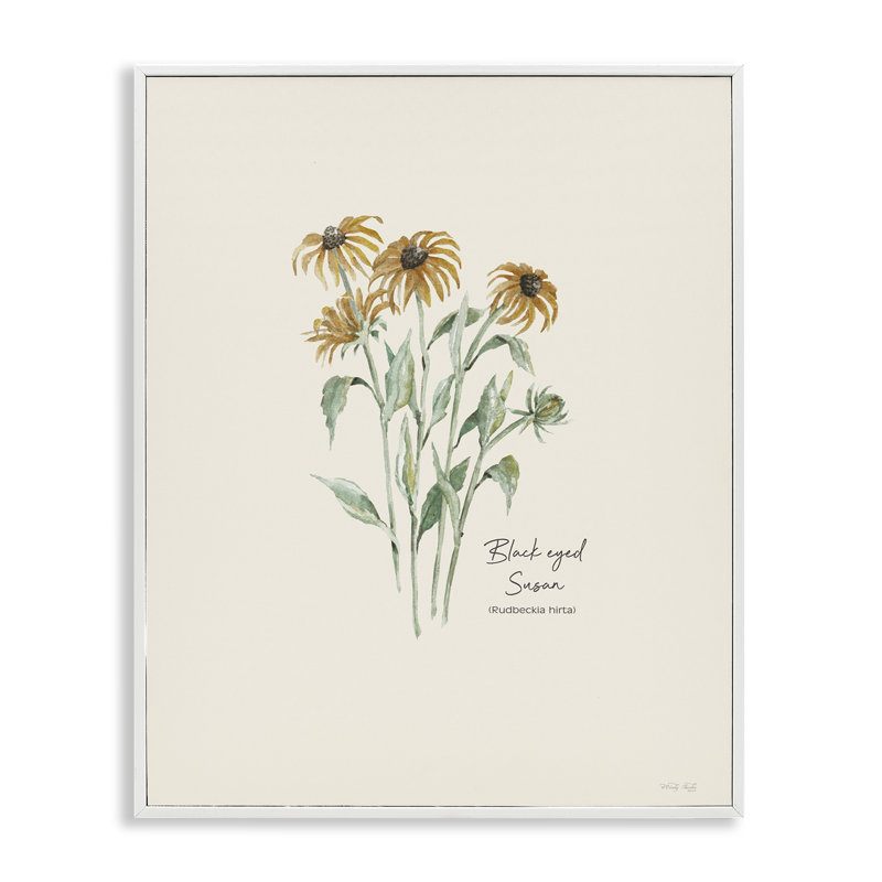 Art Susans aux yeux noirs par Cindy Jacobs bg-133, Giclée encadrée blanc bord de mer, H 14 po x l 11 po