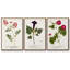Lodge Pun I - Ensemble de 3 reproductions encadrées sur toile-1977993621-1977993623