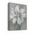 " Simple Flower I "-1219139569