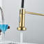 Belfry Kitchen Dejean Kitchen Faucet