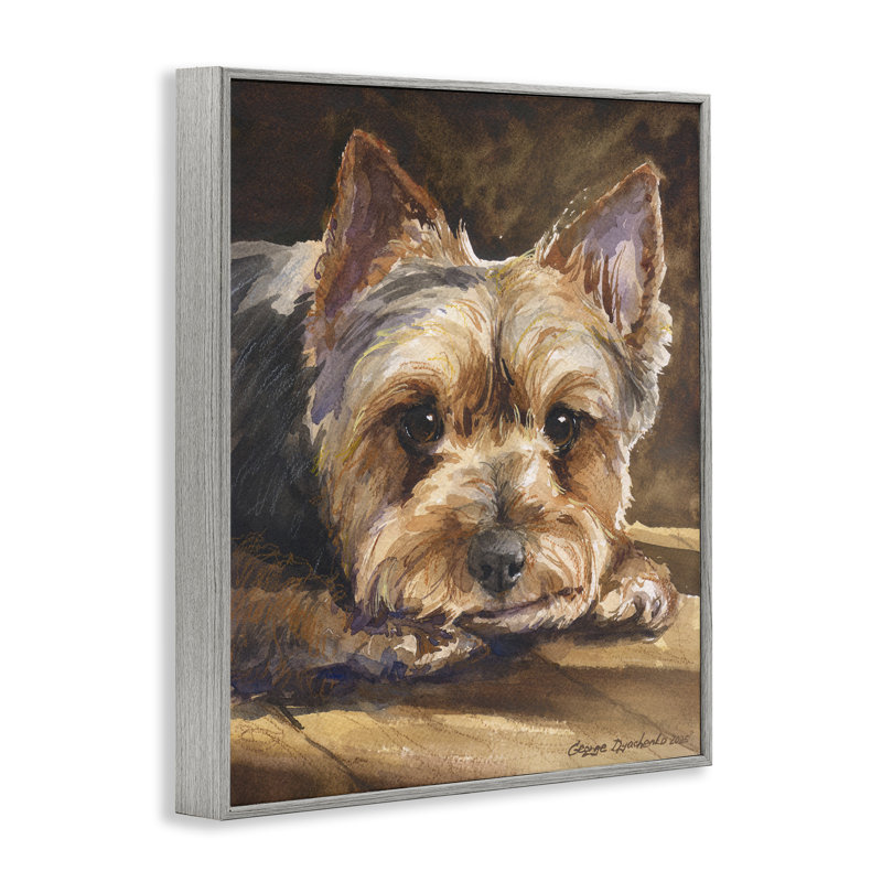 Yorkshire Terrier, dessin de giclée par George Dyachenko, Giclée de ferme grise encadrée, H 30 po x l 24 po
