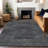 Premium Machine Washable Prisco Charcoal Rug-105256621