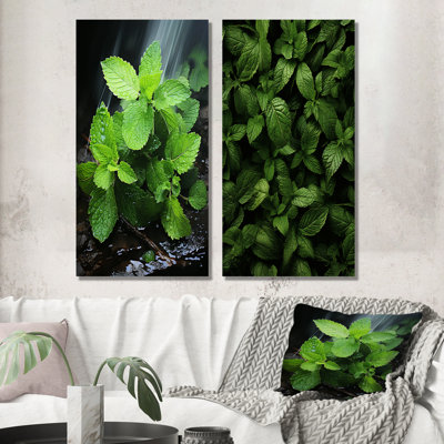 Herbs Peppermint Breeze II - Herbs Wall Decor Set Of 2
