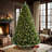 6FT  Prelit Artificial Christmas Tree-129357762-129357765