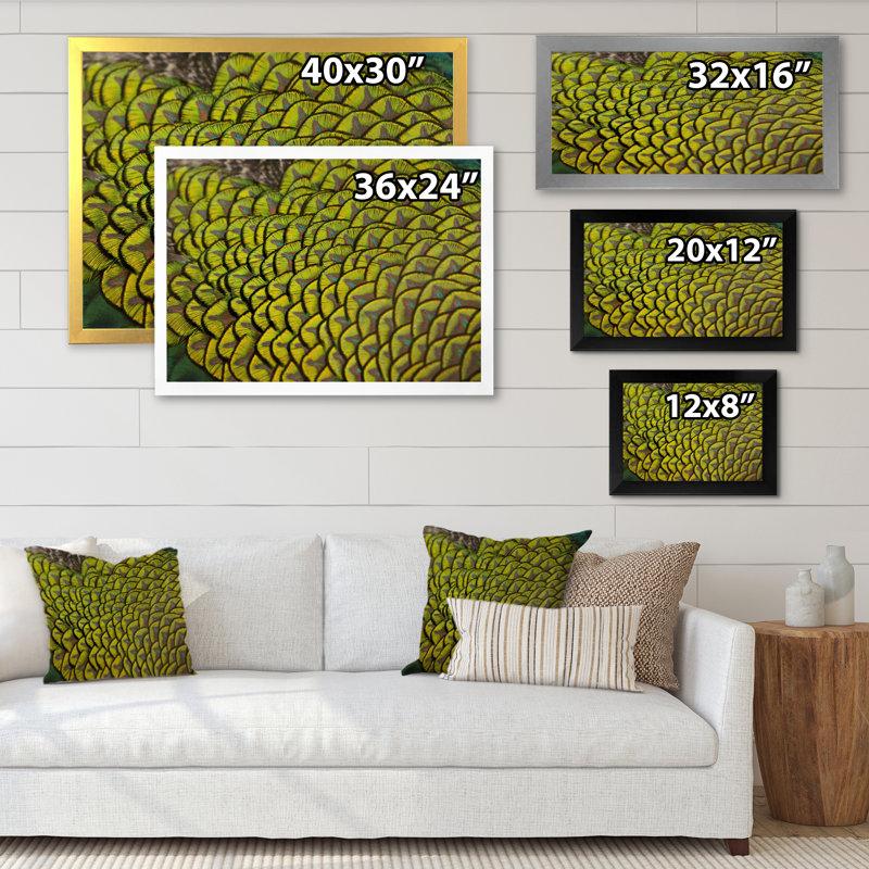«Green Peacock Feathers II», reproduction d'art sur toile, H 12 po x l 20 po x P 1 po, Cadre photo noir