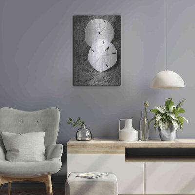 " Dream " by Debra Van Swearingen