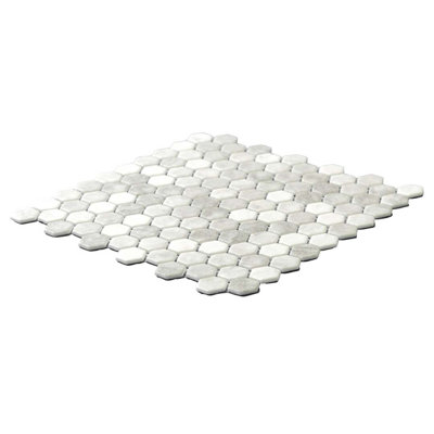 Eterna Hex 1" x 1" Matte Glass Mosaic Floor and Wall Tile