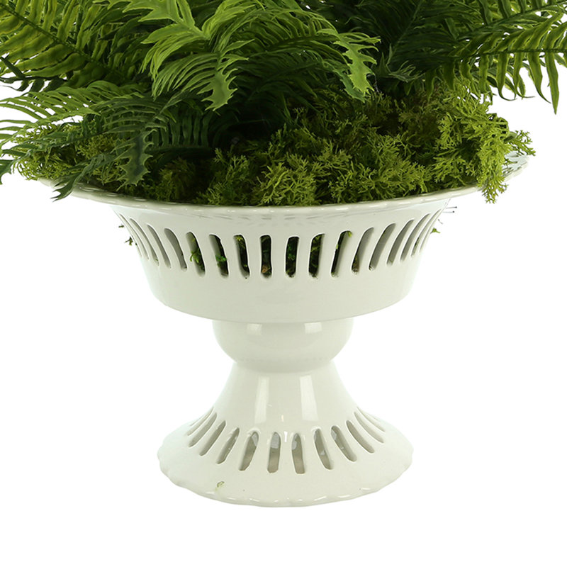 Boston Fern and Moss Arranged in Ceramic Vase