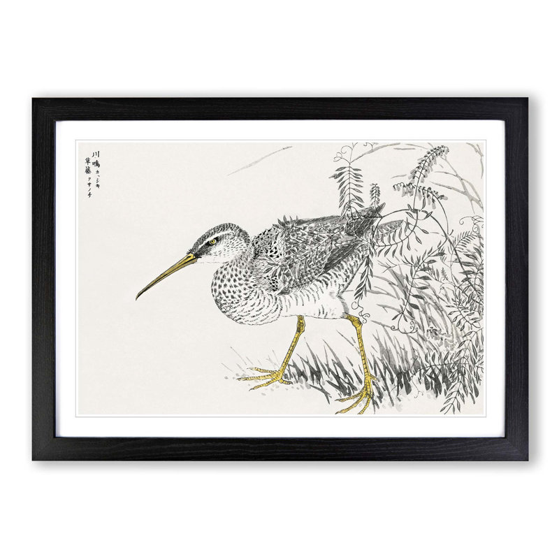 Whimbrel Bird & Wisteria Vine by Numata Kashu - Picture Frame Graphic Art Print, 40cm H x 60cm W x 2cm D, Black