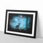 Deer Stag In A Blue Forest Paint Splash - Picture Frame Graphic Art-56915840-56915841