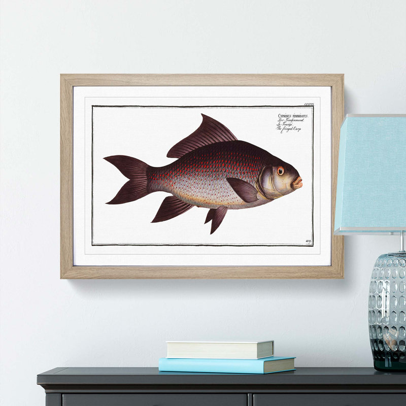 Fringed Carp Fish by M.E. Bloch - Picture Frame Painting Print, Oak Framed, 48cm H x 65cm W x 2cm D