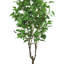 Bouleau artificiel en pot-416493233