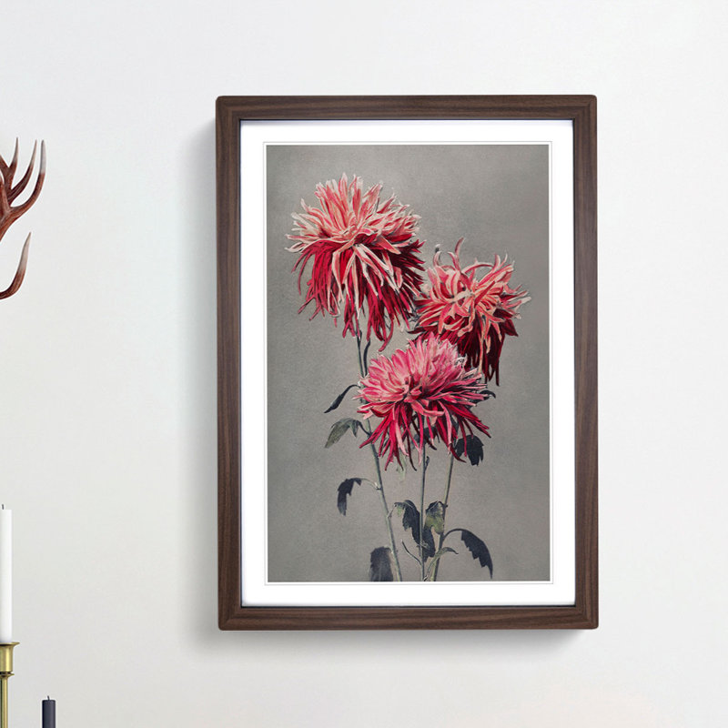Fuscia Pink Chrysanthemums by Ogawa Kazumasa - Framed Print, Walnut Framed, 36cm H x 27cm W x 2cm D