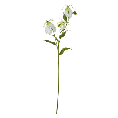 Arrangement