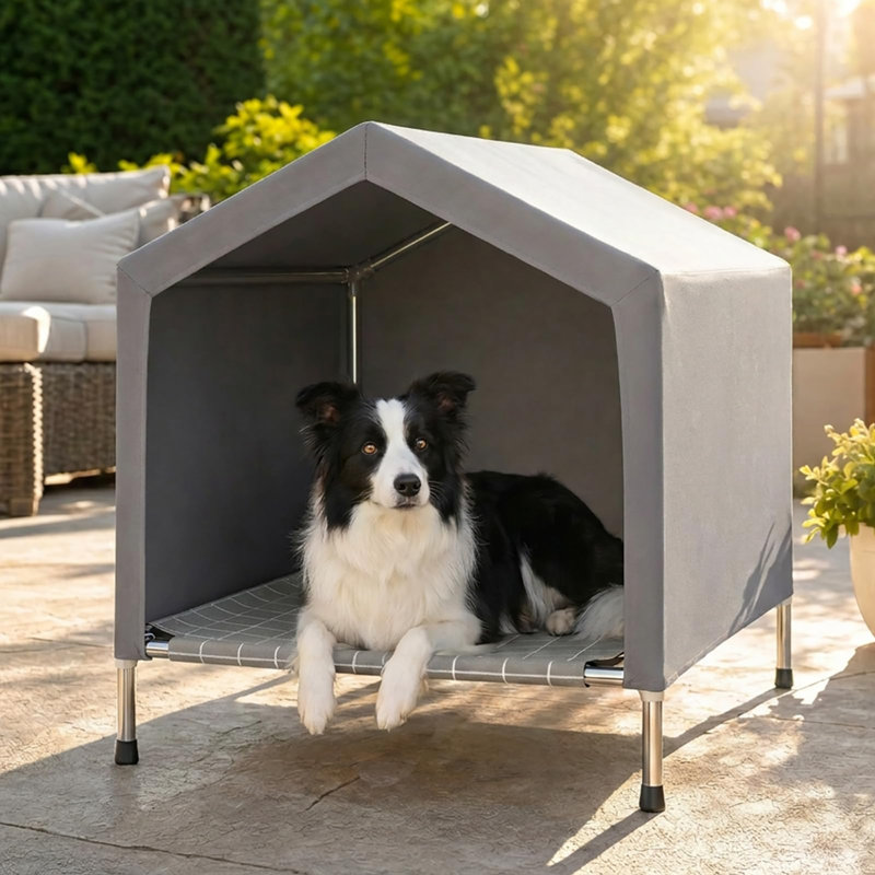 Niche surélevée pour chien