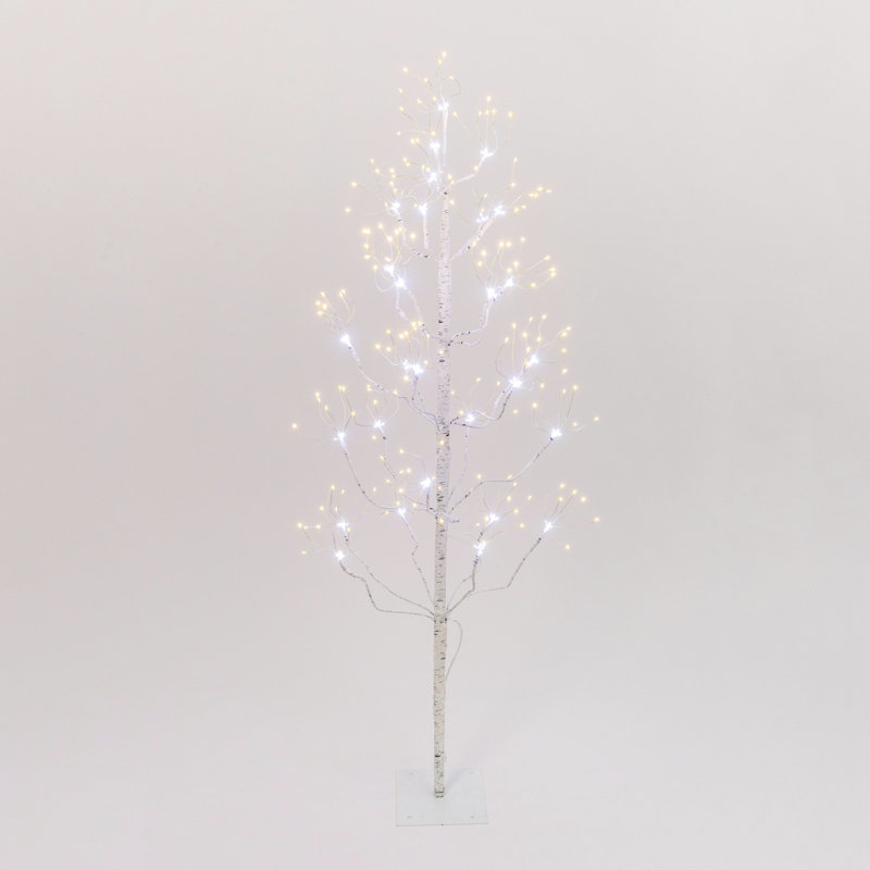 Bouleau 336 lumières en filet