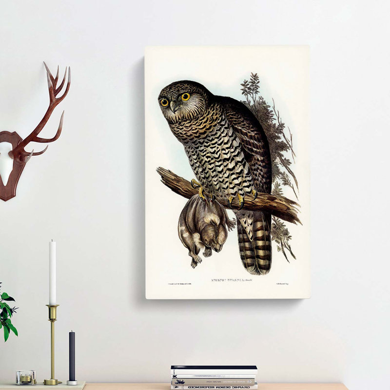 Powerful Owl by Elizabeth Gould - Wrapped Canvas, 76cm H x 50cm W x 3cm D