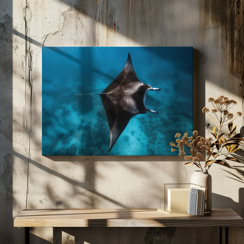 Wrapped Canvas Print, 50.8 cm H x 76.2 cm W