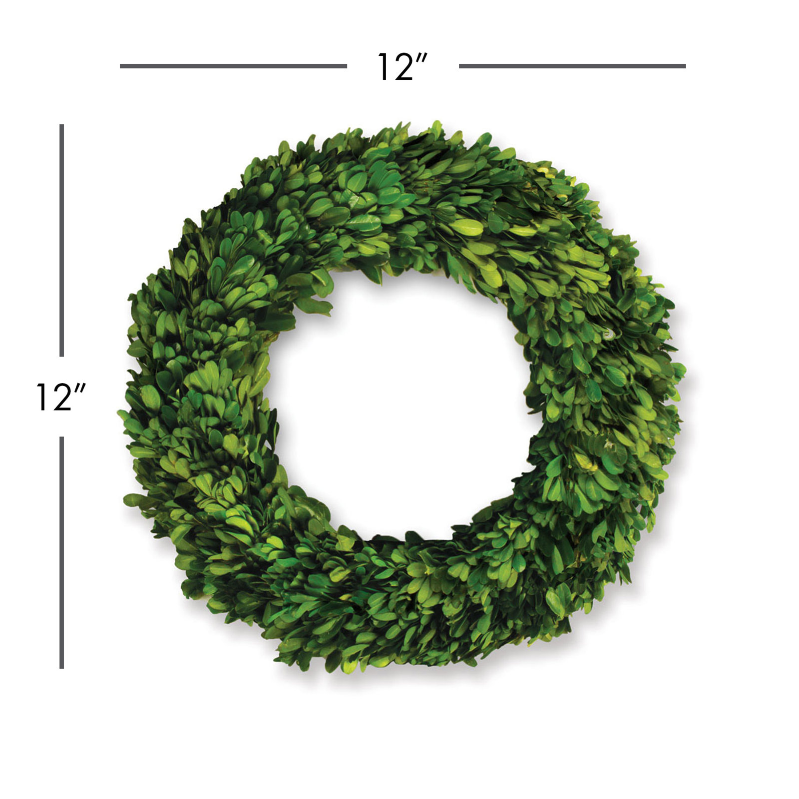 Birch Lane™ Alby 31" Boxwood Wreath, 12" H x 12" W x 2.5" D